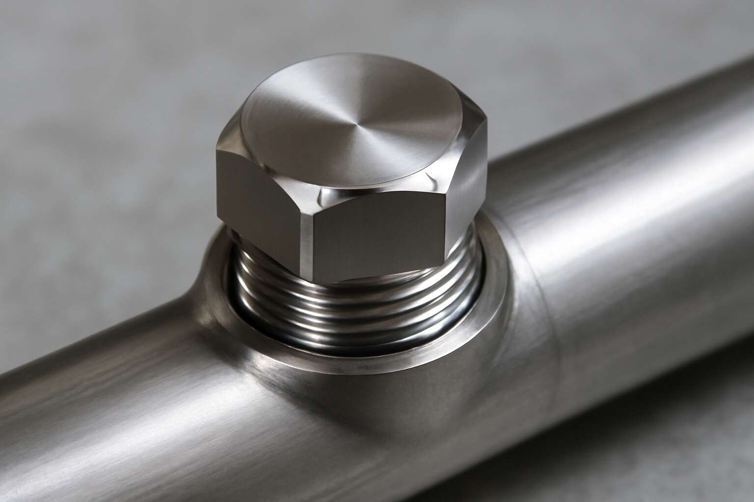 stainless steel plugs