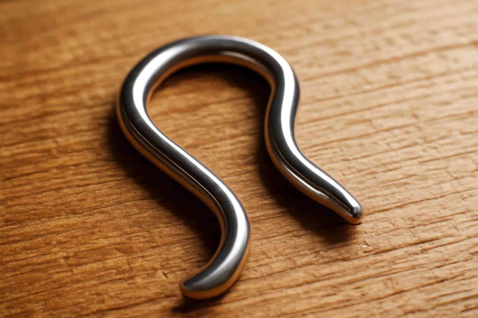 stainless hook