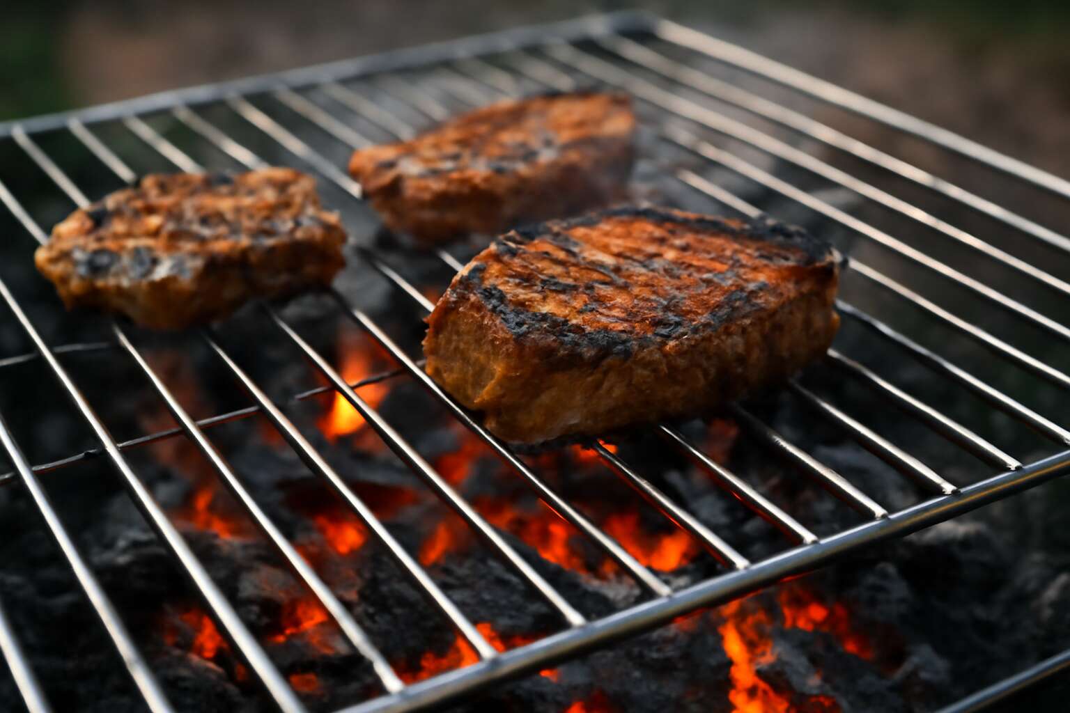 generated_image_6a215e07abdef.jpg stainless braai grid